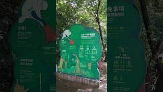 台北 富陽自然生態公園 福州山公園景觀平台 清楚看到台北101