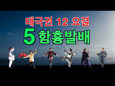 taichi chuan - 태극권 12요결(太極拳十二要訣) - 5. 함흉발배(含胸拔背)