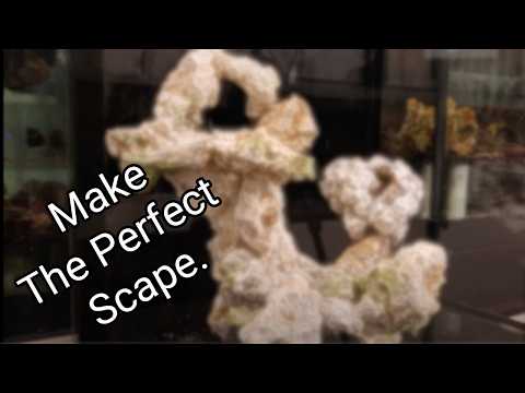 How to Aquascape a Reef Tank