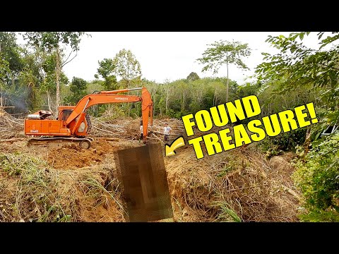 Transforming Abandoned Land: Episode 1 - Clearing the Old Rubber Trees