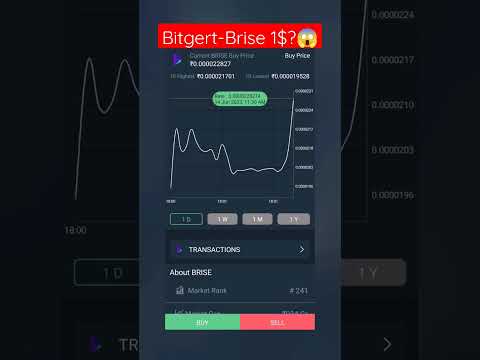 Bitgert-Brise burning date announced / #bitgert #brise #bitgertbrise #crypto #jobcentre / Job Centre