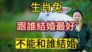 生肖兔！跟誰結婚最好？屬兔人不能和誰結婚？屬相兔必看！益處多多！