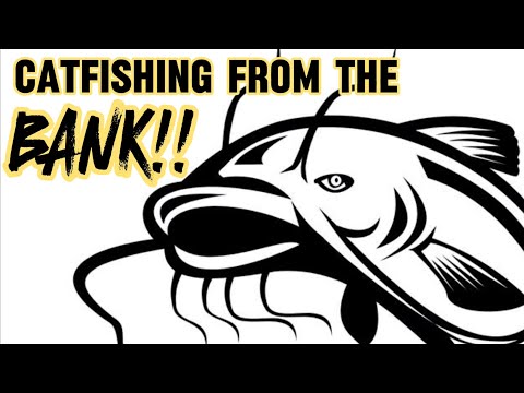 Catfishing From The BANK - HOW TO Find Catfish, Where To Fish for Catfish!