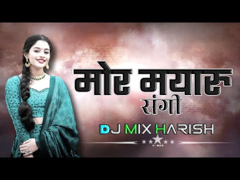 मोर मयारू संगी मोला मोहि डारे MOR MAYARU SANGI DJ MIX HARISH