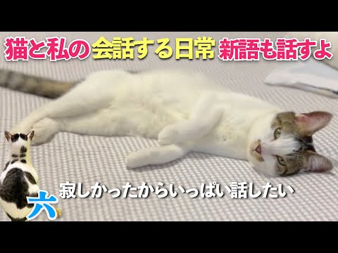 [猫と私の会話する日常] 先週さみしい思いをした愛猫は私といっぱい話しがしたい [必見！初めての言葉も話すよ] | [生まれ変わりの猫] 六 (Roku)