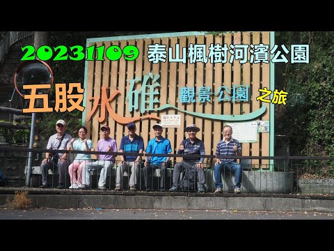 20231109 泰山楓樹河濱公園五股水碓公園之旅