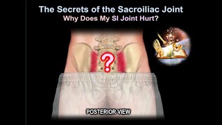 sacroiliac Joint  pain why it Hurts - Everything You Need To Know - Dr. Nabil Ebraheim