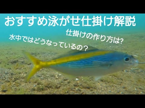 堤防 泳がせ釣り5種類（天秤・胴付き・遊動胴付き・エレベーター仕掛け・フリー仕掛け）　【水中映像】