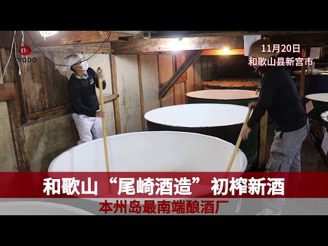 和歌山“尾崎酒造”初榨新酒