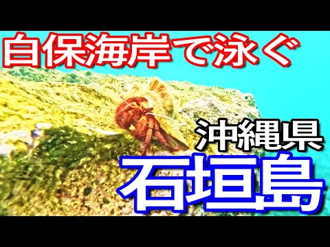 石垣島ゆる旅２日目（前編）白保海岸でシュノーケリング満喫