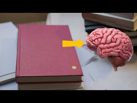 Reading transforms your brain. Let me explain