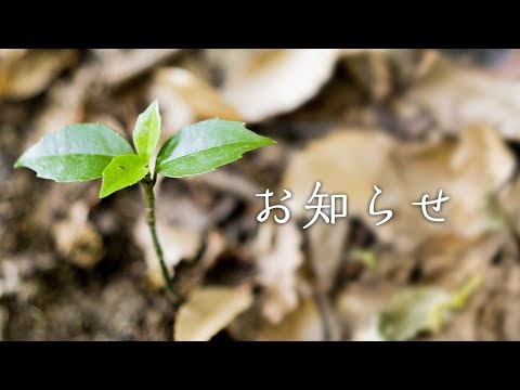 【お知らせ】TSUKURUと山の開拓動画と新チャンネルについて