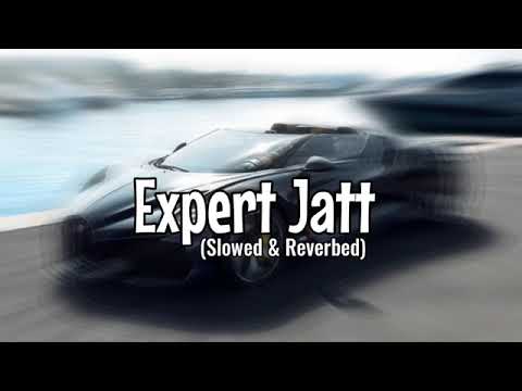 Expert Jatt (Slowed & Reverbed) ll ViBing Place #expertjatt song #gangstersong#trending #slowed #new