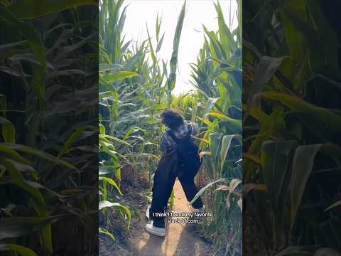 we got LOST IN A HAUNTED CORN MAZE 🌽 w Mattie Westbrouck- #shorts