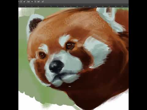 #Shorts - Painting a red panda in Photoshop