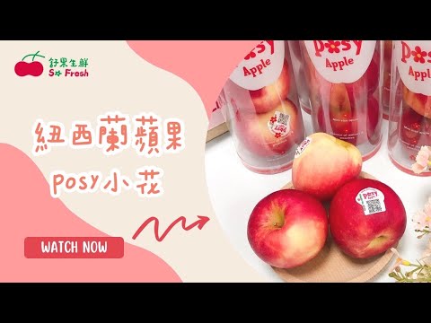 【蘋果控的最愛 ❘ 好市多 COSTCO熱賣 ❘ 清脆多汁香氣迷人💗】