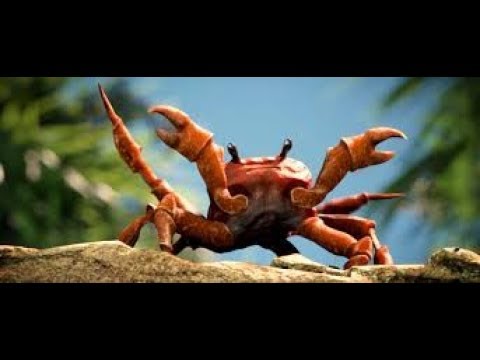 Crab Rave