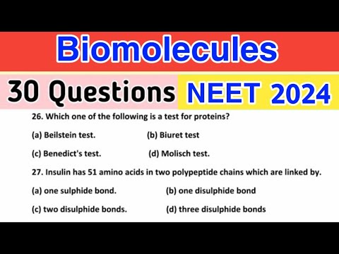 Biomolecules Class 12 MCQ | CBSE JEE CUET | NEET Chemistry 2024 | NCERT Chapter 14