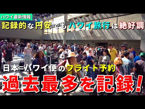 今年のGWは日本からの旅行者で凄いことになりそうです！【ハワイ最新情報】【ハワイの今】【ハワイ旅行2024】【HAWAII】