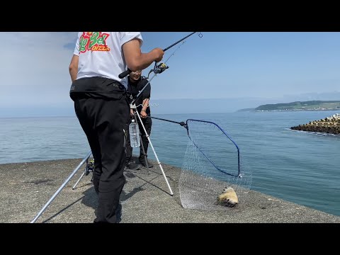 【北海道】【釣り】サーフと漁港で幻の魚狩り