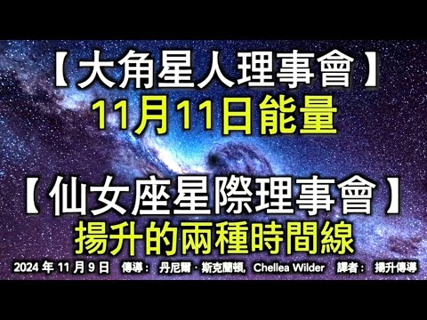 【大角星人理事會】《11月11日能量》【仙女座星際理事會】《揚升的兩種時間線》