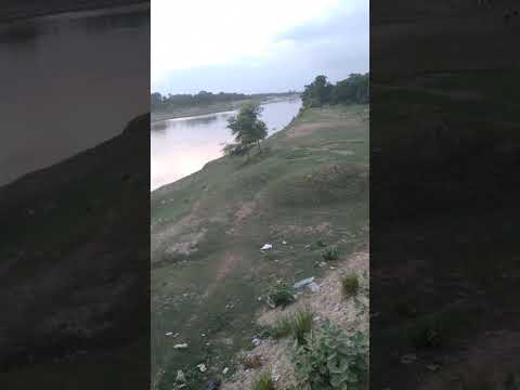 river water flow stream#shortsvideo #shortsviral #trendingshorts