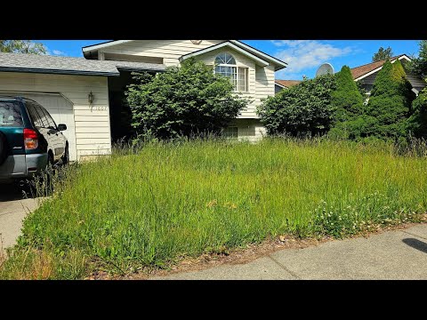 Man Recovering From Double Hip Surgery Gets A FREE Lawn Makeover