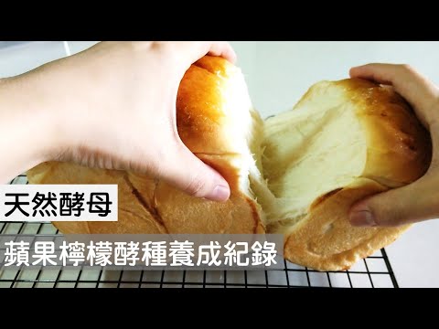 用天然酵母製作湯種吐司 蘋果檸檬酵種養成紀錄 ｜龍龍開烤箱