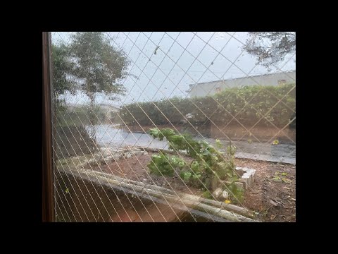 【窓割れそう】台風10号最接近中の屋久島からリアルをお伝えします【短時間だけ】