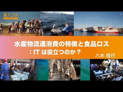 Characteristics of Seafood Distribution Consumption and Related Food Loss in Japan: Can IT Help?