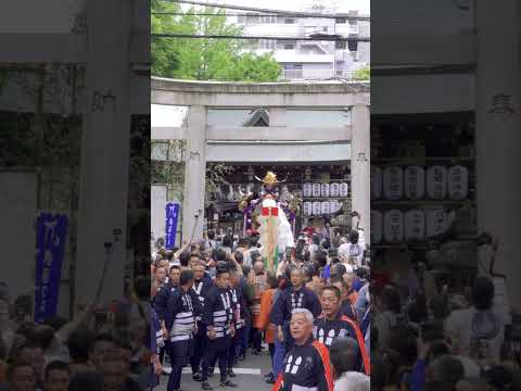 2024下谷神社大祭 本社神輿