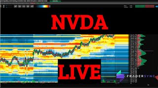 🐶🍎LIVE Daytrading Nvidia NVDA Using Bookmap 12.30.24 Auction Theory and Volume Profile