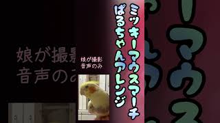 #shorts 　【新春初歌い】アレンジしすぎなミッキーマウスマーチ【オカメインコ】