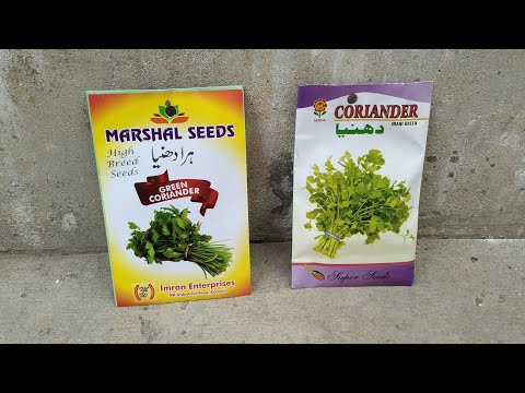 HOW TO GROW CORIANDER\DHANIA AT HOME EASY METHOD