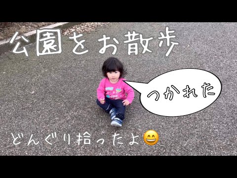 公園を散歩しながら初めてのどんぐり拾いをする1歳児