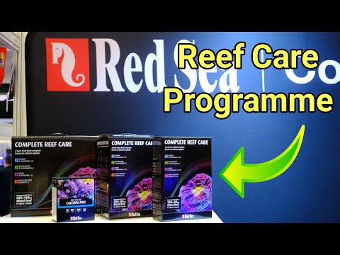 How The Red Sea Reef Care Programme Works | AquaH 2024