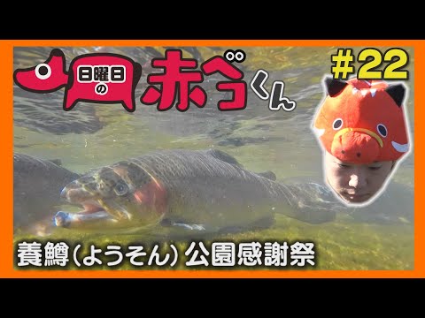 ようそん公園感謝祭「日曜日の赤ベコくん」＃22