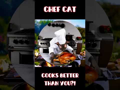 The cat is a chef! #cat #ai #chef #funny