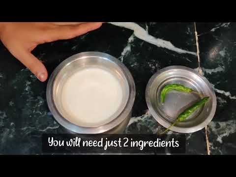 Making Dahi (Yogurt) With Only Milk 🥛 & Green Chilli 🌶️ Yogurt Without Yogurt Maker #dahi #yogurt