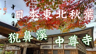 [4K]2019.10.26香蕉哈比日本東北紅葉狩—DAY02【猊鼻溪+中尊寺】