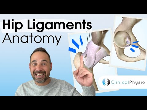 Hip Ligaments Anatomy | Expert Physio Guide