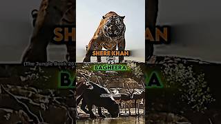 Shere Khan vs Bagheera