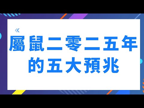 屬鼠二零二五年的五大預兆，屬鼠二零二五年運勢發展怎樣