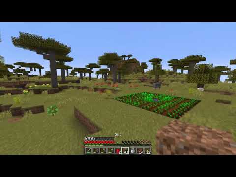 Minecraft - Auscraft with Tony