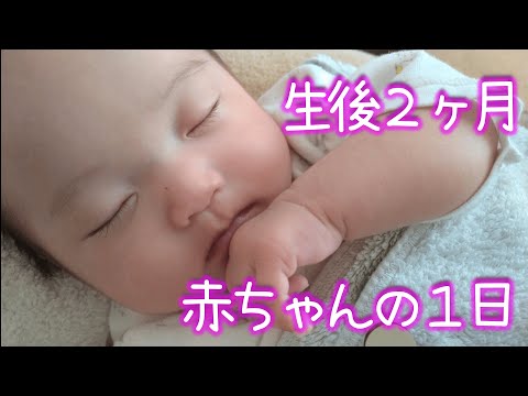 【生後２ヶ月】休日の赤ちゃんの一日