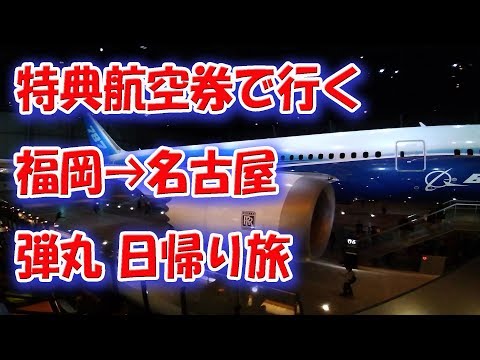 ANA無料航空券で行く！  弾丸１日旅で肉まんと手羽先を食らう