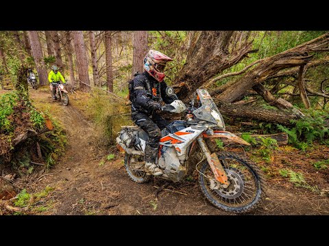 KTM New Zealand Adventure Rally off road breakout section. Chris Birch