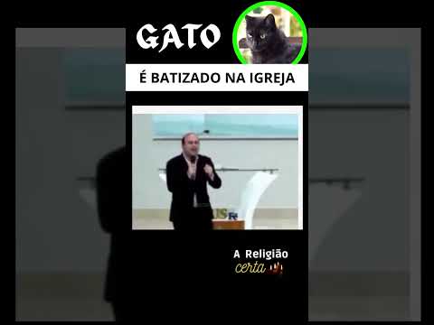 Gato Batiza Na Igreja #areligiaocerta