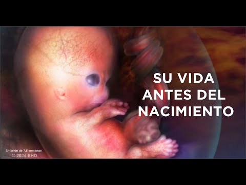 SU VIDA ANTES DEL NACIMIENTO (Spanish)