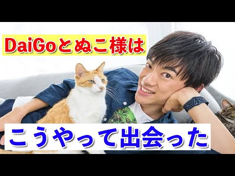 【DaiGo】DaiGoとぬこ様はこうやって出会った